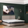 Tempur Arc Static Disc Bed Base - Vectra Headboard