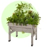 VegTrug Small Classic Raised Planter - Grey Wash Wood