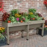 VegTrug Medium Wall Hugger Raised Planter - Grey Wash Wood