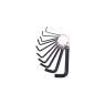 Amtech 10 Piece Hex Key Set And Keyring