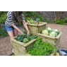 Zest Garden 4 Tier Wooden Raised Bed