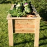 Zest Garden Deep Root Wooden Planter - 1.8m