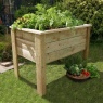 Zest Garden Deep Root Wooden Planter - 1m