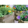 Zest Garden Marford Hexagonal Planter Set