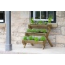 Zest Zest Garden Stepped Wooden Herb Planter