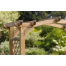 Zest Garden Venus Wooden Arch