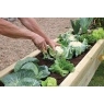 Zest Garden Wooden Narrow Sleeper Raised Bed