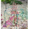 Poppy Forge Poppy Forge Simple Plant Support Ring - Pack of 4