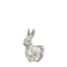 Bunny Small Pot - Distressed White