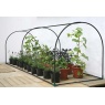 Haxnicks Grower Frame Only - 3m x 1m x 1m