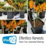 AutoPot AutoPot 1Pot Self Watering Systems with AQUAvalve Technology