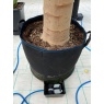 AutoPot AutoPot 1Pot XXL Self Watering Systems with AQUAvalve Technology