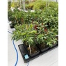 AutoPot AutoPot Auto8 Self Watering System with AQUAvalve Technology