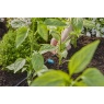 Gardena Adjustable Inline Drip Head 0-15 l/h - 10 Pack