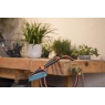 Gardena Gardena Cleansystem Running Water Hand Brush Medium - Hard