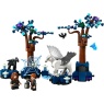 LEGO Harry Potter 76432 The Forbidden Forest