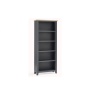 Bordeaux tall book case