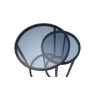 Julian Bowen Chicago Round Nesting Side Tables - Smoked Glass
