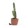Jellycat Amuseables Monstrea Plant 43cm