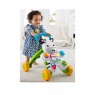 Fisher Price Fisher Price Learn With Me Zebra Walker