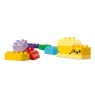 LEGO Duplo 10444 Creative Garden & Flowers