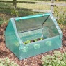 Smart Garden Grozone Grocloche