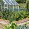 Main Frame Fruit Cage Starter Kit - 6ft x 6ft
