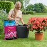 Westland Westland John Innes Peat Free Ericaceous Compost - 28L