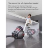 Dyson Dyson Big Ball Animal 2 Bagless Cylinder Vacuum Cleaner