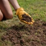 Westland Lawn & Turf Dressing 25L
