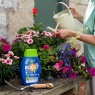 Westland Boost All Purpose Liquid Plant Feed 1L
