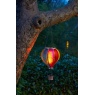 Smart Garden Rainbow Flaming Balloon