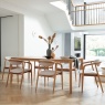 G Plan Isabelle Dining Armchair