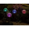 Smart Garden Classic Majestic - 5 Pack