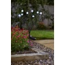 Smart Garden 8-Stem Gloglobes Stake Light - Cool White