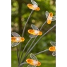 Smart Garden 8-Stem Beelights, Stake Light