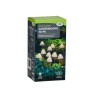 Smart Garden Lumishroom Stake Lights - Set of 10
