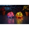 Smart Garden Smart Garden Solstone (Assorted)