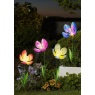 Smart Garden Solar Bloom Stake Light