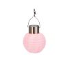 Smart Garden Eureka! China Lanterns 4 Pack