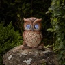 Smart Garden Blinkin' Owl