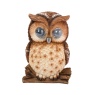 Smart Garden Blinkin' Owl