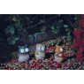 Smart Garden Hedgerow Heroes