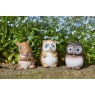 Smart Garden Hedgerow Heroes