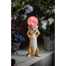 Smart Garden Mystik Meerkat