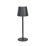 Smart Garden Smart Garden Turin Table Lamp - Onyx