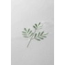Serene Emily Embroidery Duvet Set - Green