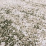 Asiatic Opal Opal 03 Abstract Rug - Green