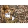 Altico Altico Playtime Water Feature