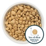 Burns Burns Senior+ Toy/Small Breeds Chicken & Brown Rice Dog Food